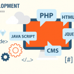 software development